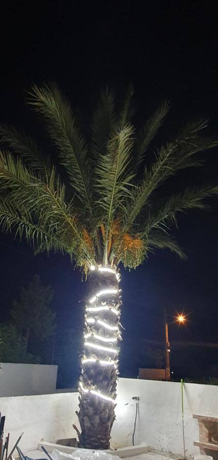 Apartamentos La Palmera Fernan Perez Buitenkant foto